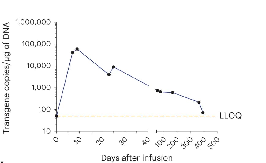 Open access visualization of Line Plot, Gavo-cel, Peripheral Blood, qPCR, T Cells