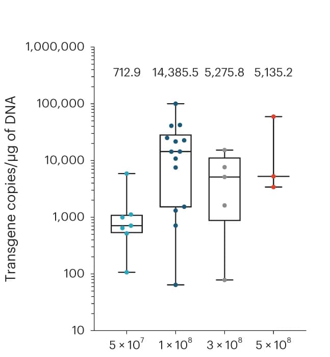 Open access visualization of Box Plot, Scatter Plot, Gavo-cel, T Cells, Peripheral Blood