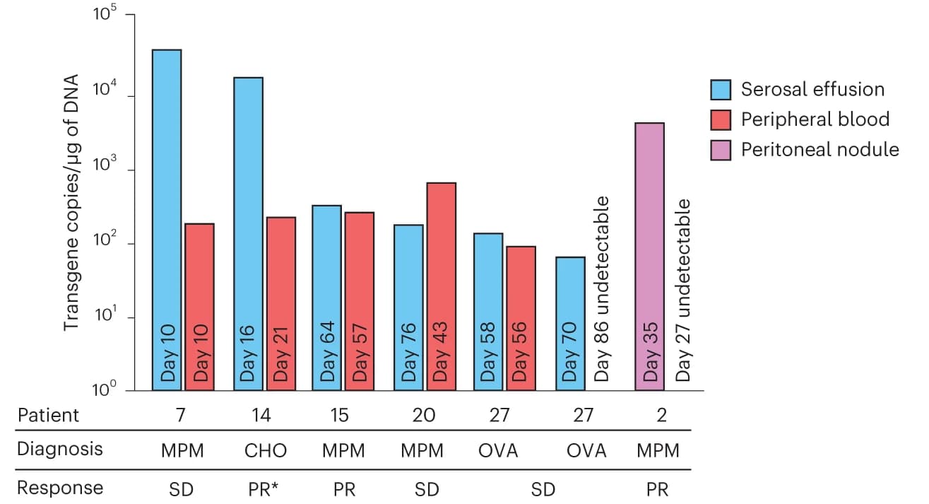 Open access visualization of Bar Plot, Clustered, Gavo-cel, T Cells, Serosal Effusions
