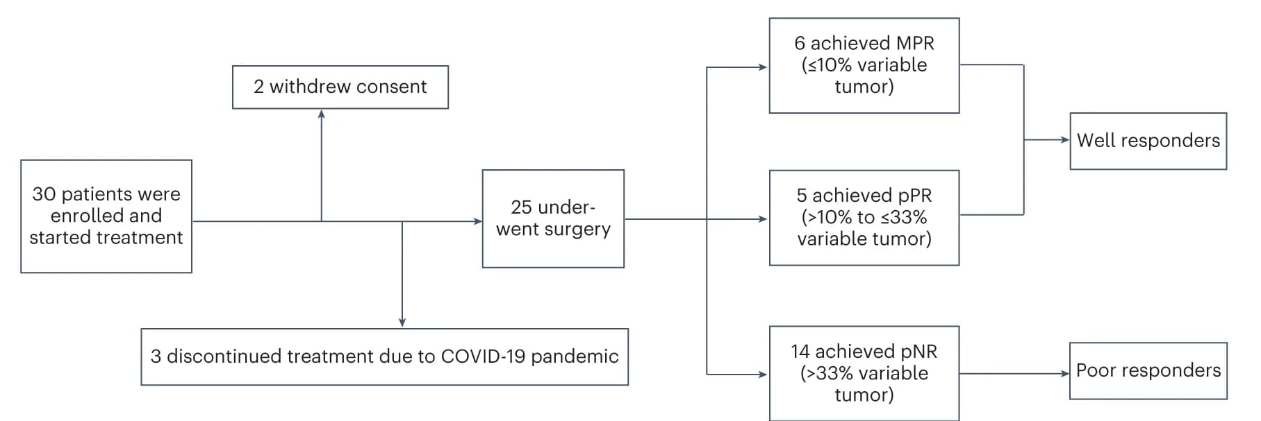 Open access visualization of Workflow, Flowchart, NATION-1907 Study, pCR, MPR