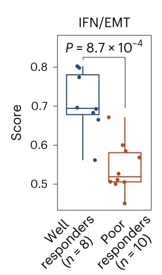 Open access visualization of Box Plot, Scatter Plot, IFN/EMT Score, Machine Learning, Responders
