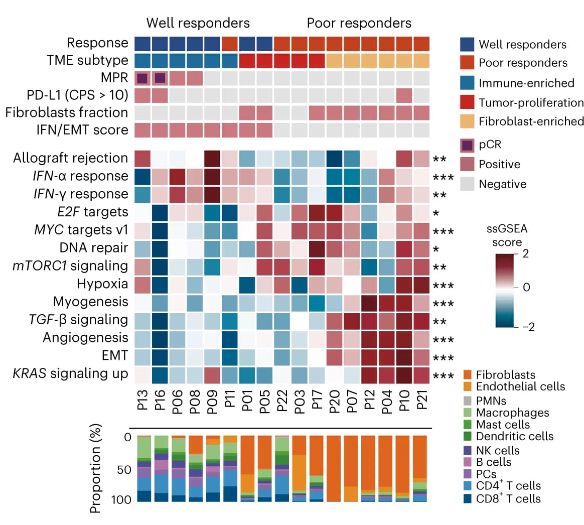 Open access visualization of Heatmap, Stacked Bar Plot, Tumor Microenvironment, TME Subtypes, Biomarkers