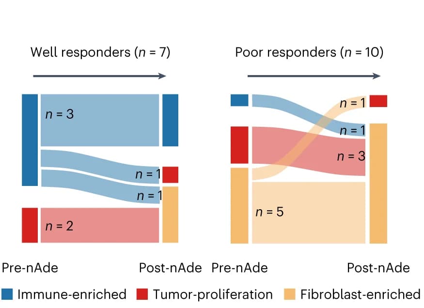 Open access visualization of Sankey, TME subtypes, nAde