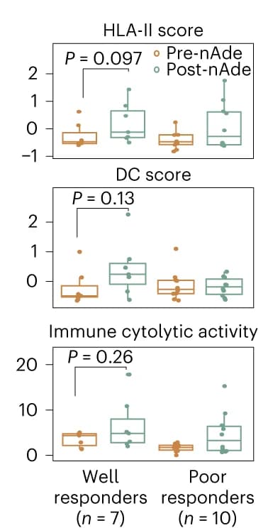 Open access visualization of Box Plot, Scatter Plot, HLA-II Score, DC Score, Immune Cytolytic Activity