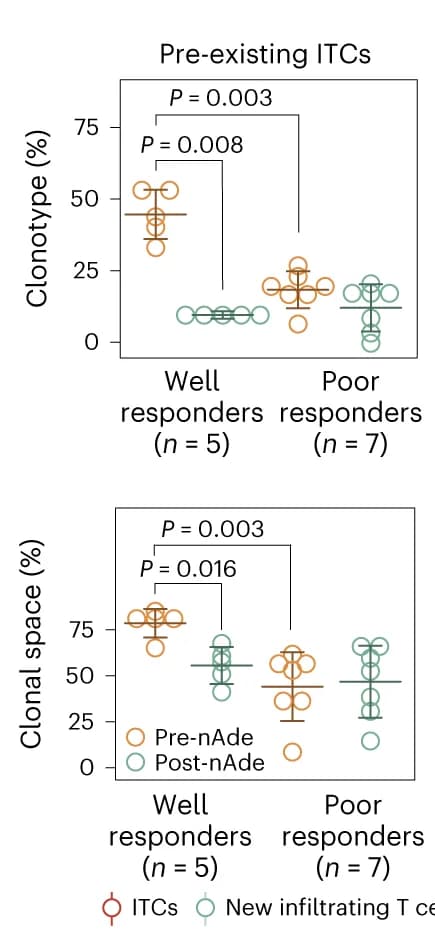 Open access visualization of Scatter Plot, Error Bars, Clonotype, Clonal Space, Pre-existing ITCs