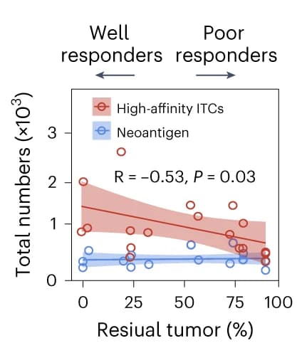 Open access visualization of Scatter Plot, Regression Plot, Pearson Correlation, High-affinity ITCs, Neoantigens