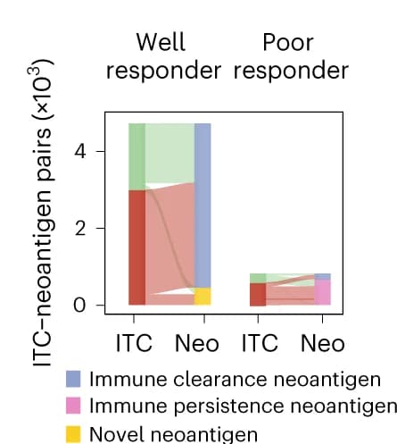 Open access visualization of Stacked Bar Plot, Sankey Diagrams, ITCs, Neoantigens, Well Responder