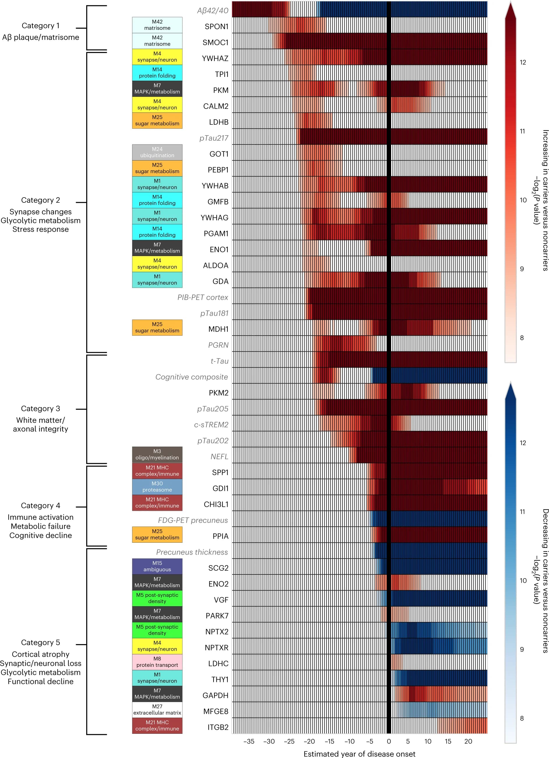 Open access visualization of Heatmap, CSF biomarker proteins, Imaging measures, Cognitive function, ADAD mutation carriers