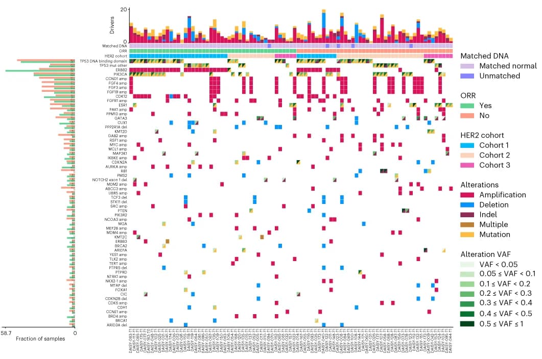 Open access visualization of Bar Plot, Heatmap, Stacked Bar Plot, Oncoplot, Driver Mutations