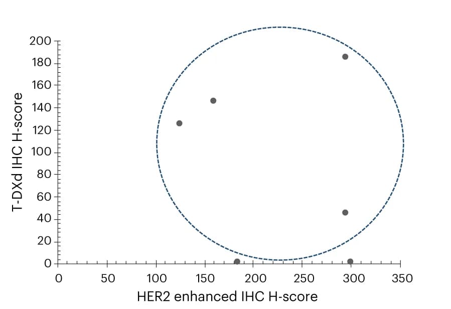 Open access visualization of Scatter Plot, T-DXd, Uptake, HER2 Expression, Resistance