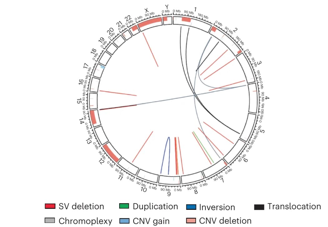 Open access visualization of Chord, WGS, CNV, SV, Deletion