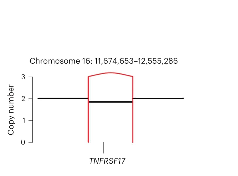 Open access visualization of Line Plot, CN, SV, TNFRSF17, Deletion