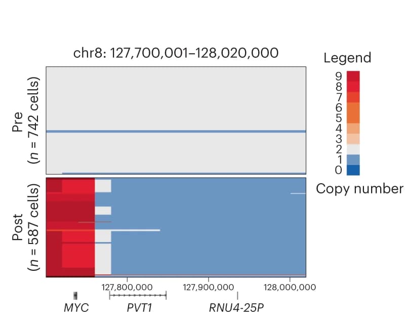 Open access visualization of Heatmap, CN, MYC, CD138, MM Cells
