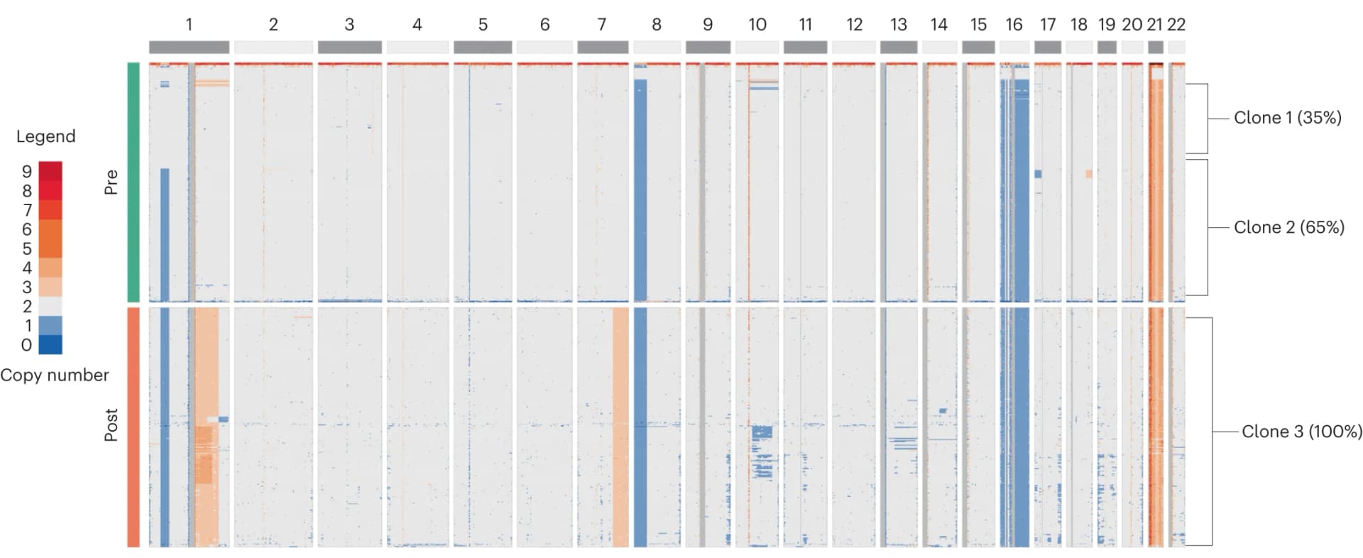 Open access visualization of Heatmap, ScCNV-seq, CN Changes, Chromosomes, Pre-therapy