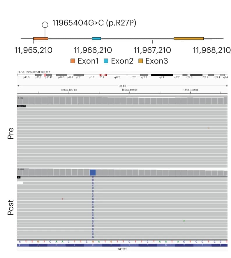 Open access visualization of Locuszoom Plot, Flow Cytometry, BCMA, Monoclonal Antibody, Multiple Myeloma Cells