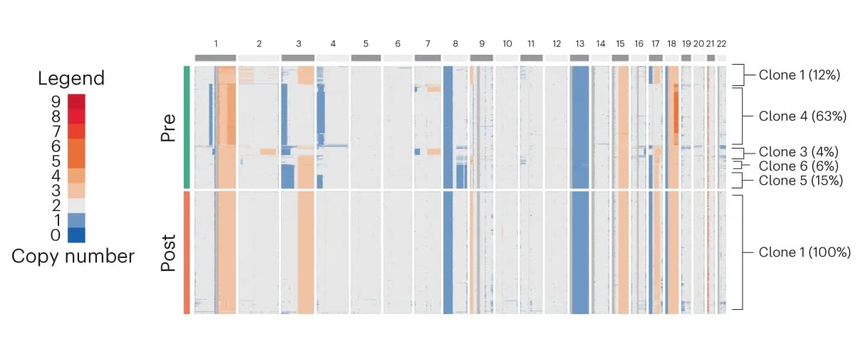Open access visualization of Heatmap, scCNV-seq, Copy Number Variation, Chromosomes, Multiple Myeloma Cells