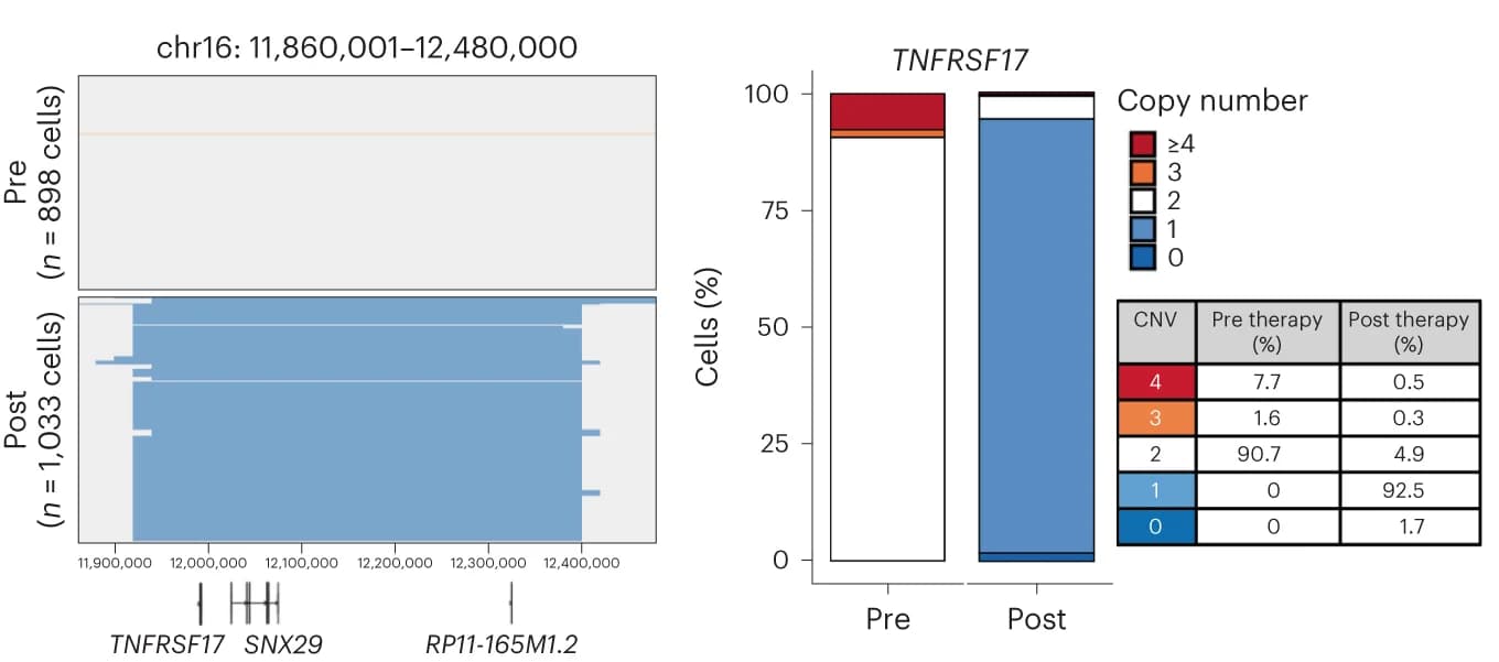 Open access visualization of Bar Plot, Stacked Bar Plot, scCNV-seq, Copy Number Variation, TNFRSF17