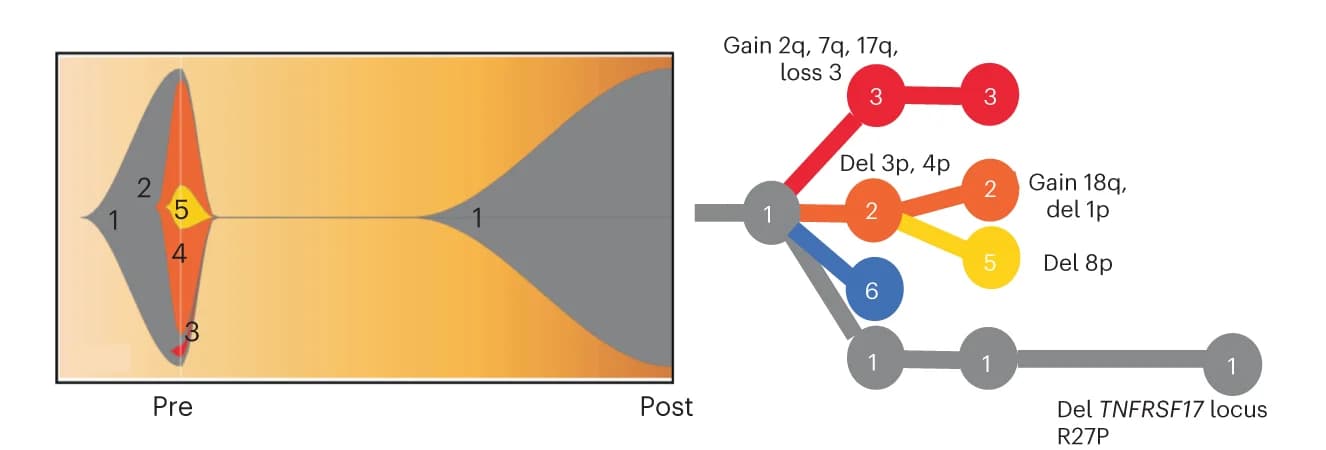 Open access visualization of Sankey, Ridge Plot, Fish Plot, Clonal Phylogeny, scCNV-seq