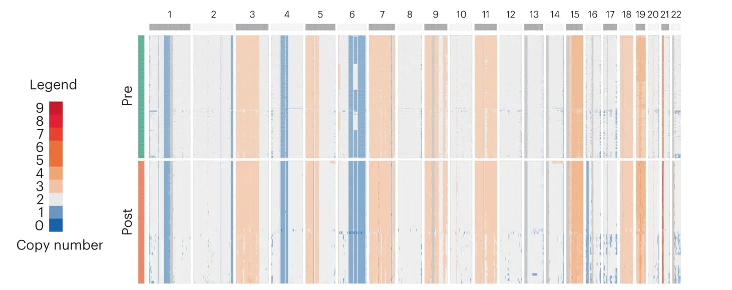 Open access visualization of Heatmap, scCNV-seq heatmap, CN changes, Chromosomes, Pre-therapy