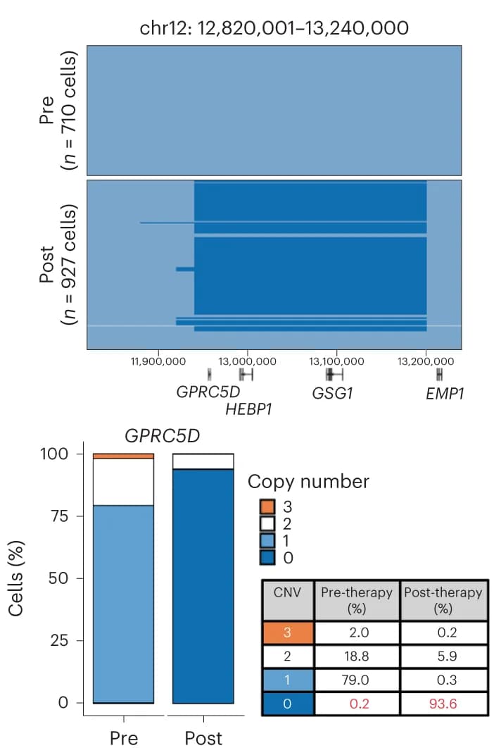 Open access visualization of Stacked Bar Plot, Bar Plot, Table Image, CD138+, CN Alteration