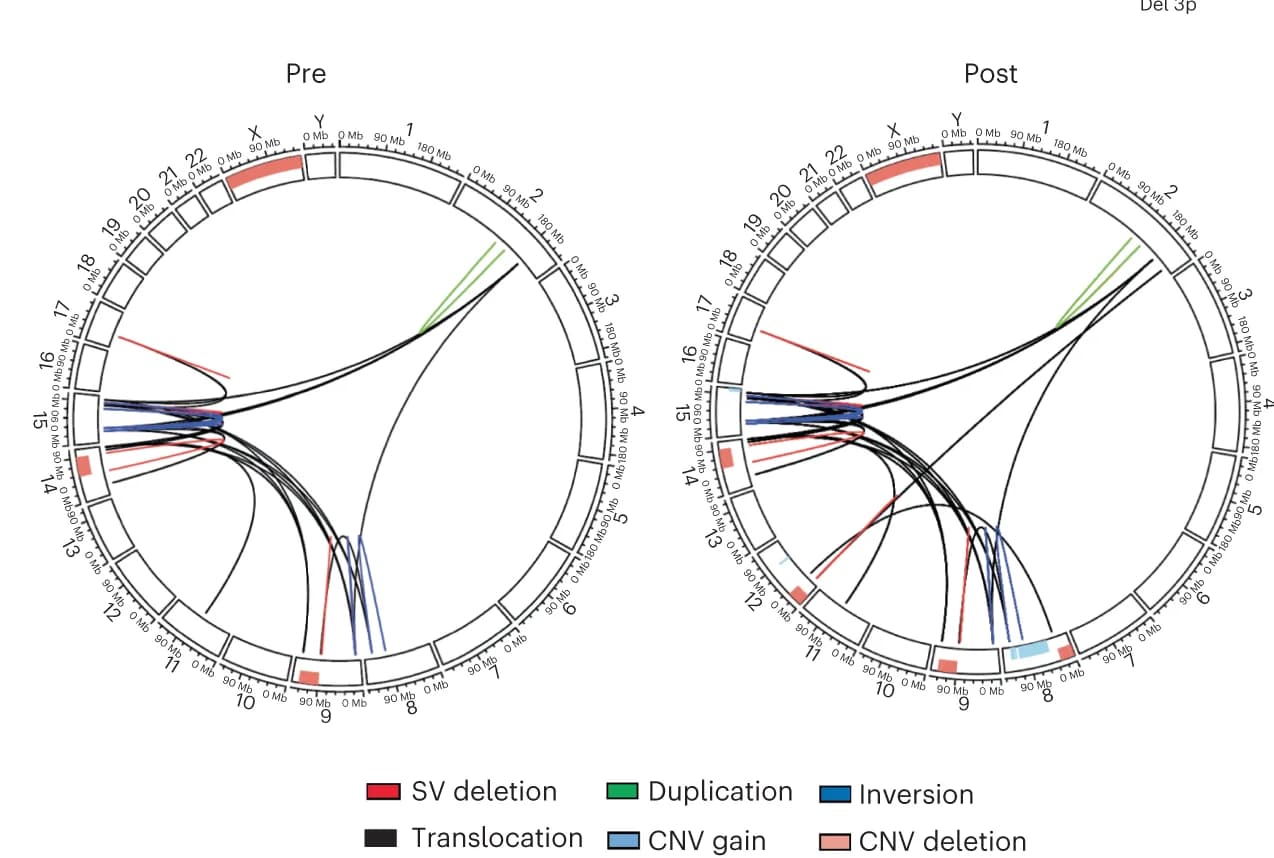 Open access visualization of Network, Chord, Circos Plot, WGS, CNVs