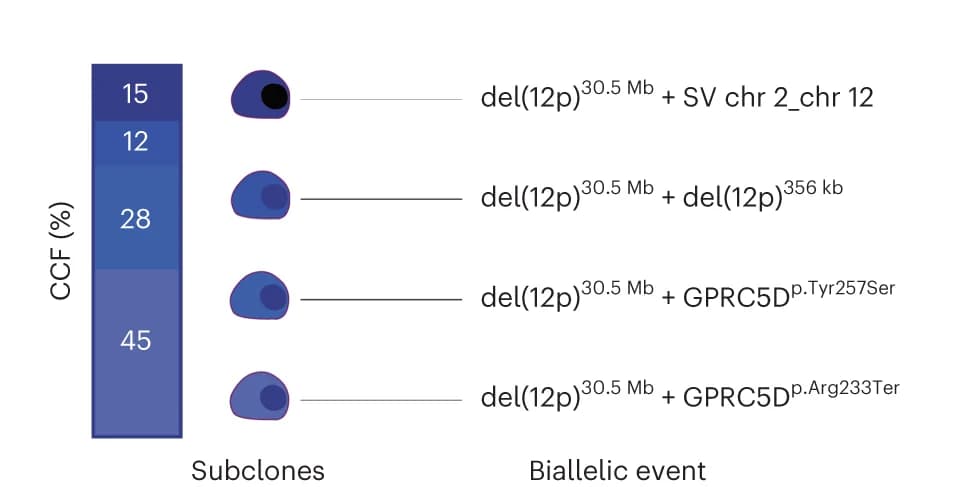 Open access visualization of Stacked Bar Plot, Cancer Cell Fractions, Subclonal Events, Chromosome 12, GPRC5D Alteration