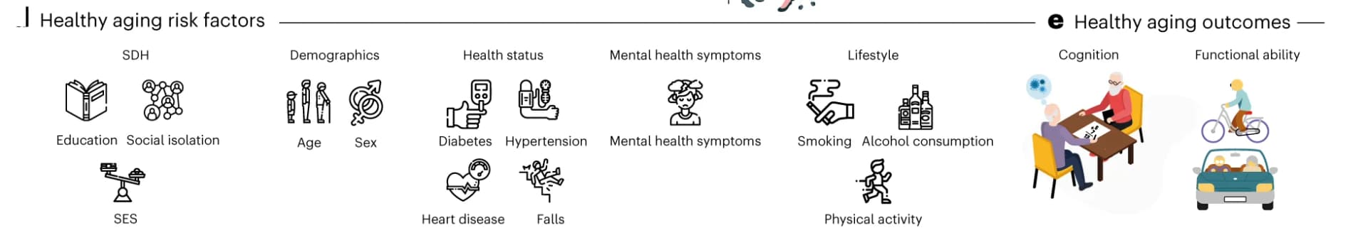 Open access visualization of Illustration, Workflow, Flowchart, Risk Factors, Demographics