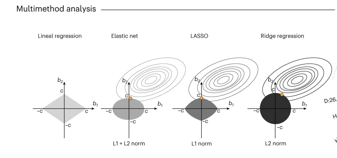 Open access visualization of Illustration, Linear Regression, Elastic Net, LASSO, Ridge Regression