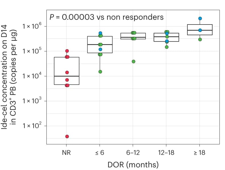 Open access visualization of Box Plot, Scatter Plot, qPCR, Ide-cel, PB CD3+ cell matrix