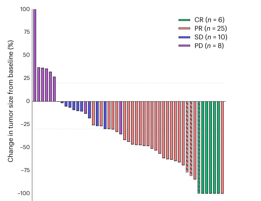 Open access visualization of Bar Plot, Waterfall Plot, Target Lesion Tumor Size, RECIST, Tumor Reduction