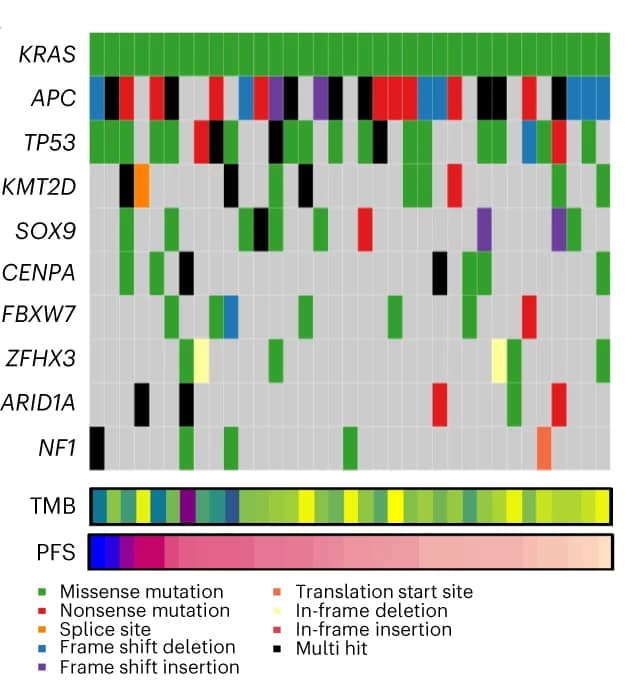 Open access visualization of Heatmap, Oncoplot, Genomic Landscape, Genes, Tumor Mutational Burden