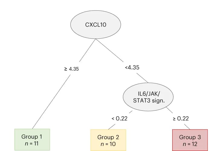 Open access visualization of Flowchart, Decision tree, Progression-Free Survival, Stromal parameters, Immune parameters