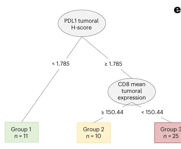Open access visualization of Flowchart, Decision Tree, PFS, Immunohistochemistry, Variables