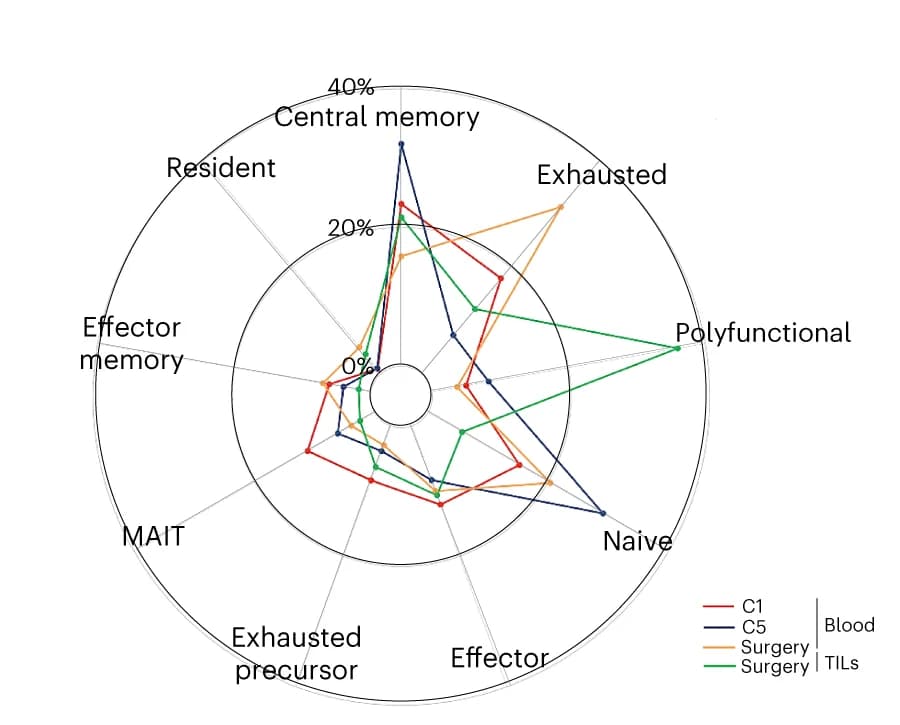 Open access visualization of Radar Chart, T Cell Clusters, Blood, TILs, Sampling
