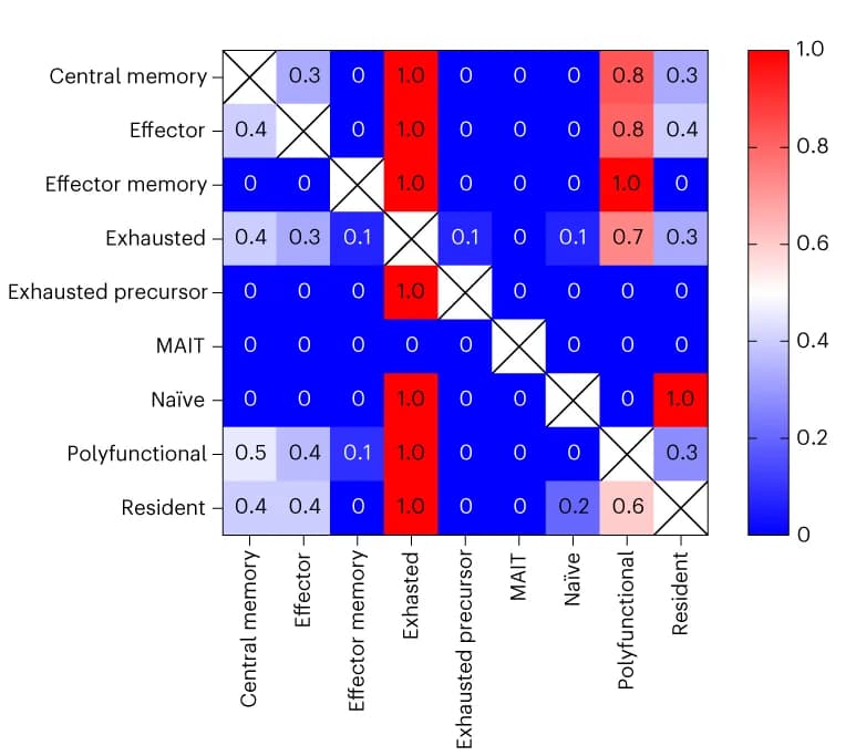 Open access visualization of Heatmap, Heat Map, T Cells, Clonotypes, Phenotype Cluster