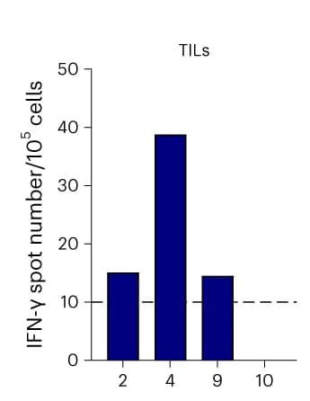 Open access visualization of Bar Plot, Bar Graph, IFN-gamma Spots, TILs, Liver Metastasis