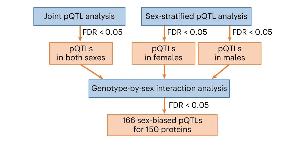 Open access visualization of Workflow, Flowchart, sb-pQTL, SNP, Protein expression
