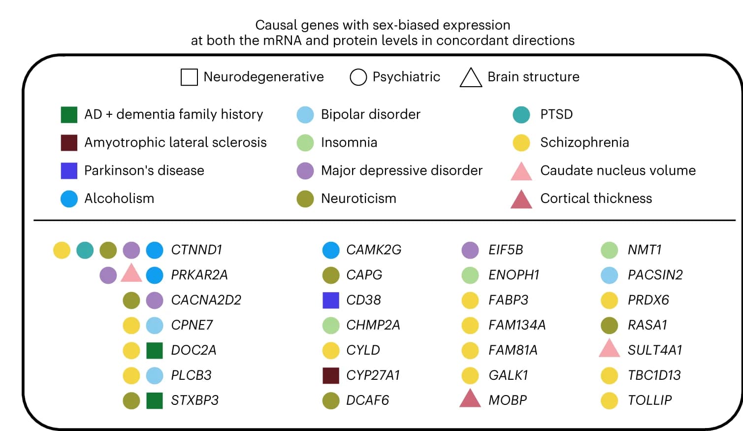 Open access visualization of Illustration, Causal Genes, Sex-Biased Expression, mRNA, Protein