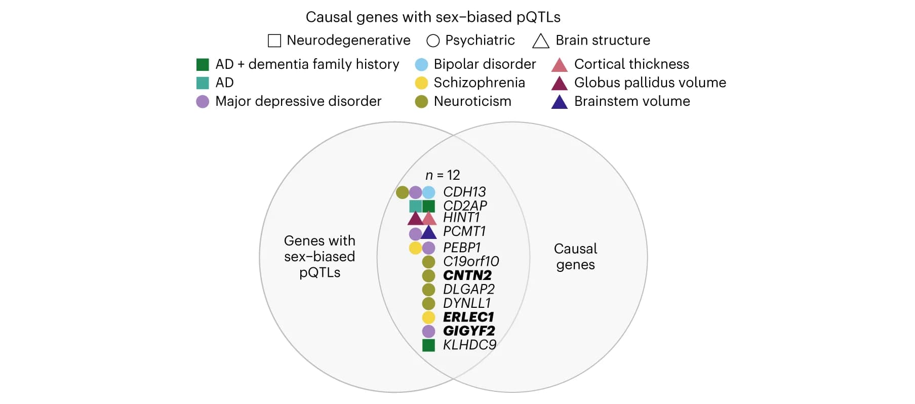 Open access visualization of Venn Diagram, Causal Genes, sb-pQTLs, Sex-Biased Protein Expression