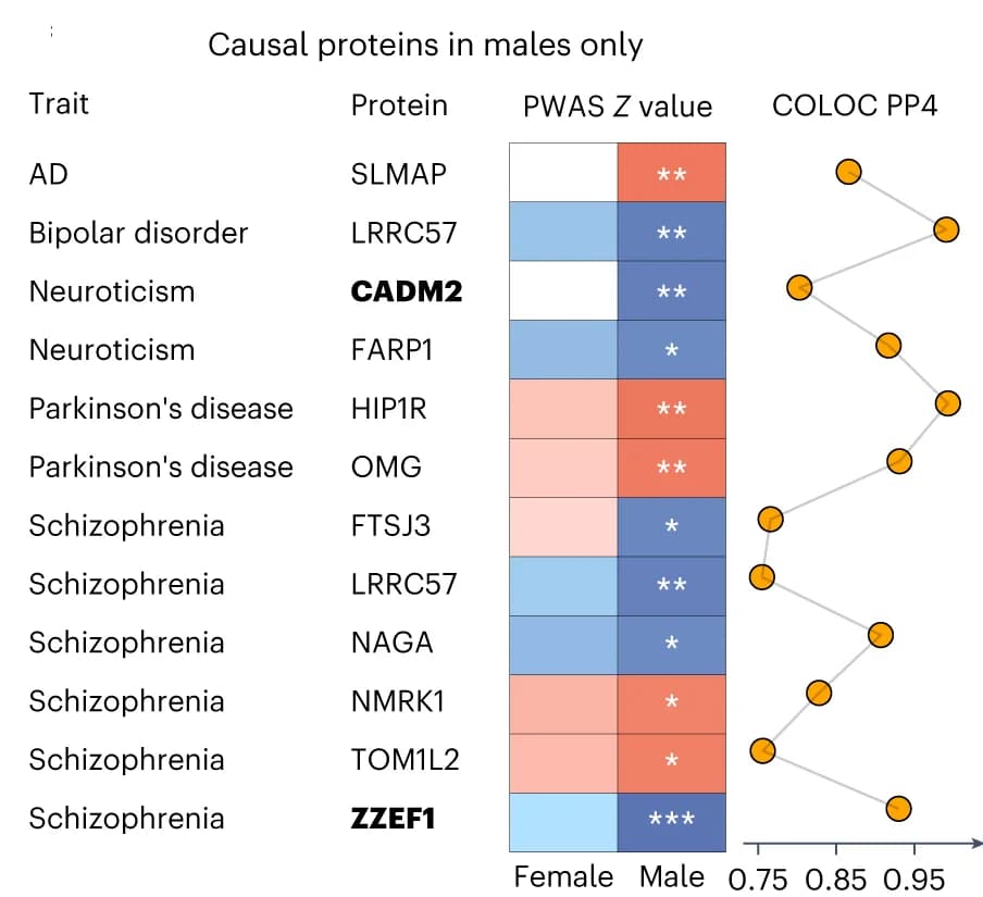Open access visualization of Heatmap, Line Plot, Scatter Plot, Causal Proteins, Males