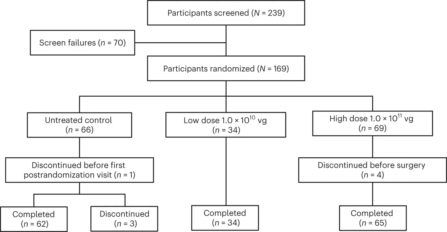 Open access visualization of Workflow, Flowchart, Participant Recruitment, Randomization, Follow-up