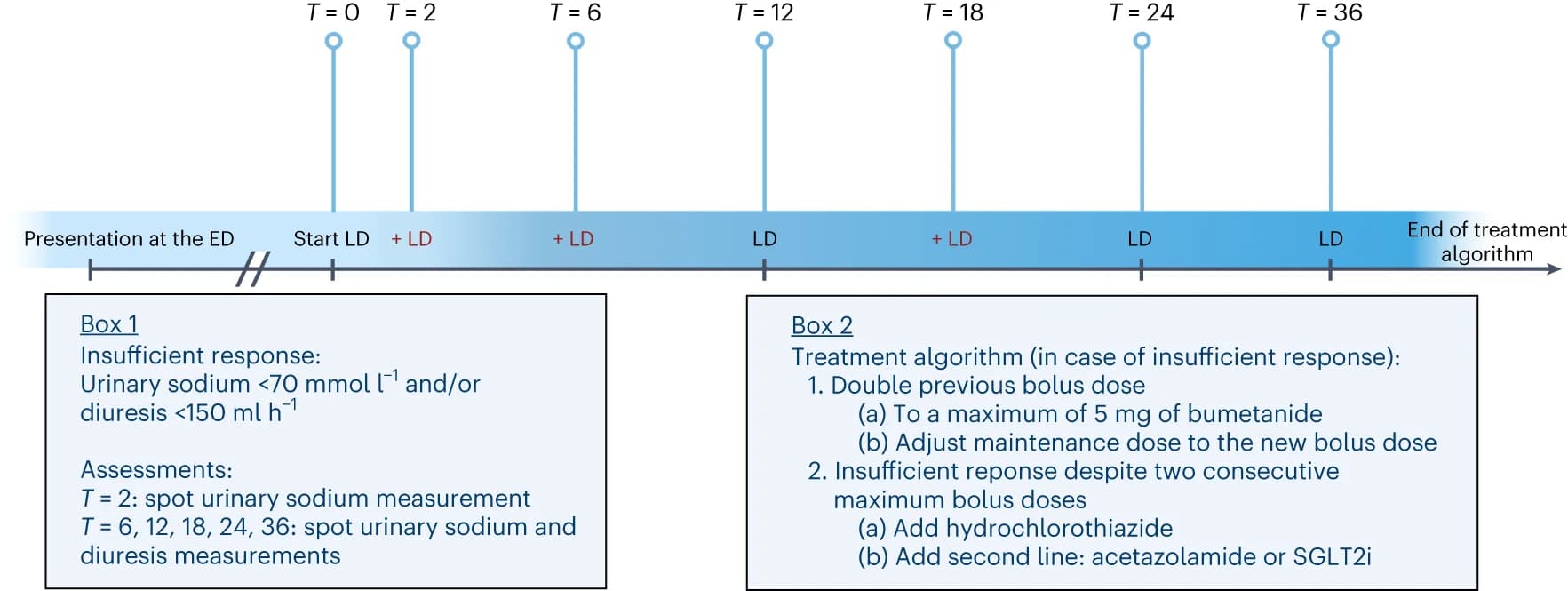 Open access visualization of Workflow, Flowchart, Treatment protocol, Loop diuretics, Natriuresis