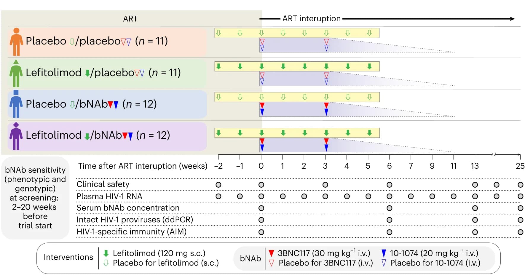 Open access visualization of Workflow, Lefitolimod injections, 3BNC117 infusions, 10-1074 infusions, Placebo injections