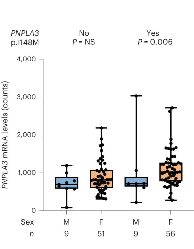 Open access visualization of Box Plot, Scatter Plot, PNPLA3, Gene expression, Transcriptomic cohort