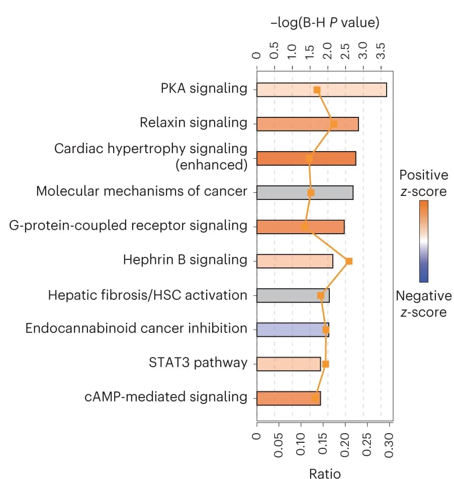 Open access visualization of Bar Plot, Line Plot, IPA, Differentially regulated genes, Women