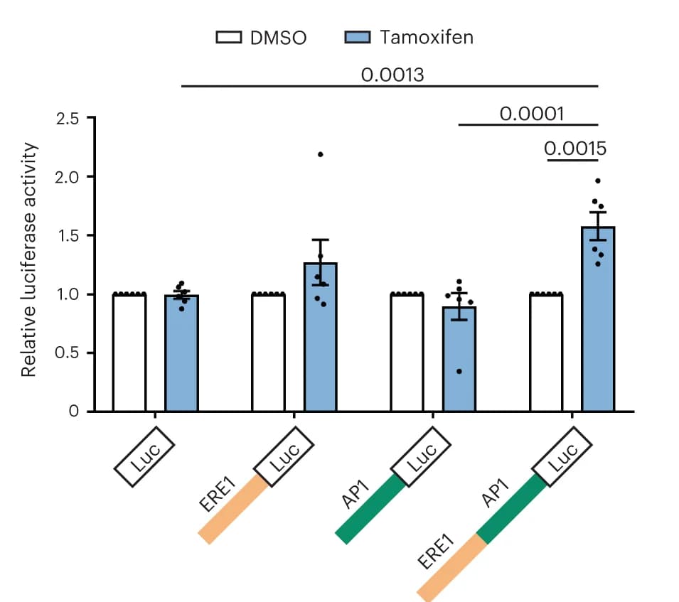 Open access visualization of Bar Plot, Error Bars, Luciferase, Reporter Activity, Tamoxifen