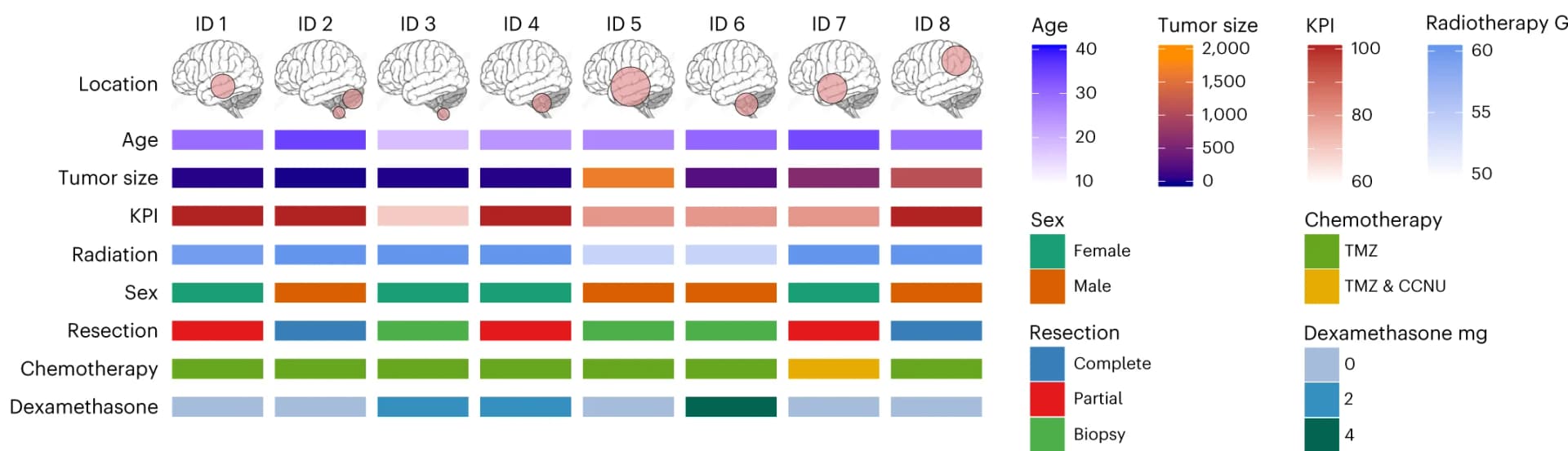 Open access visualization of Heatmap, Patients, DMG H3K27M, H3K27M-vac, Tumor size