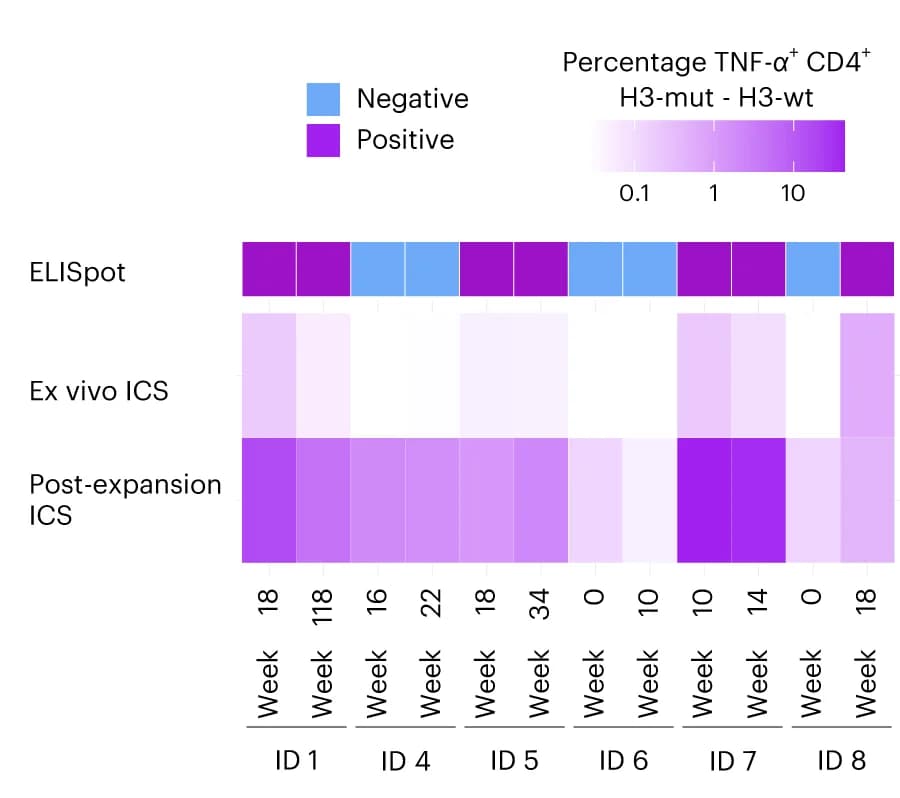 Open access visualization of Heatmap, TNF-α, CD4+ T Cells, H3-mut, H3-wt
