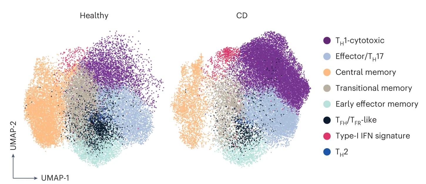 Open access visualization of UMAP, Yeast-reactive CD4+ T Cells, Gene Expression Clusters