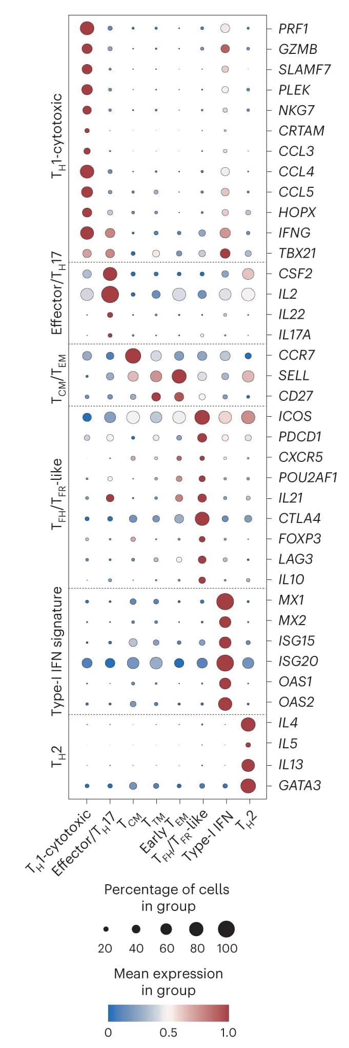 Open access visualization of Bubble Plot, Heatmap, Dot Plot, Marker Genes, T Cell Clusters